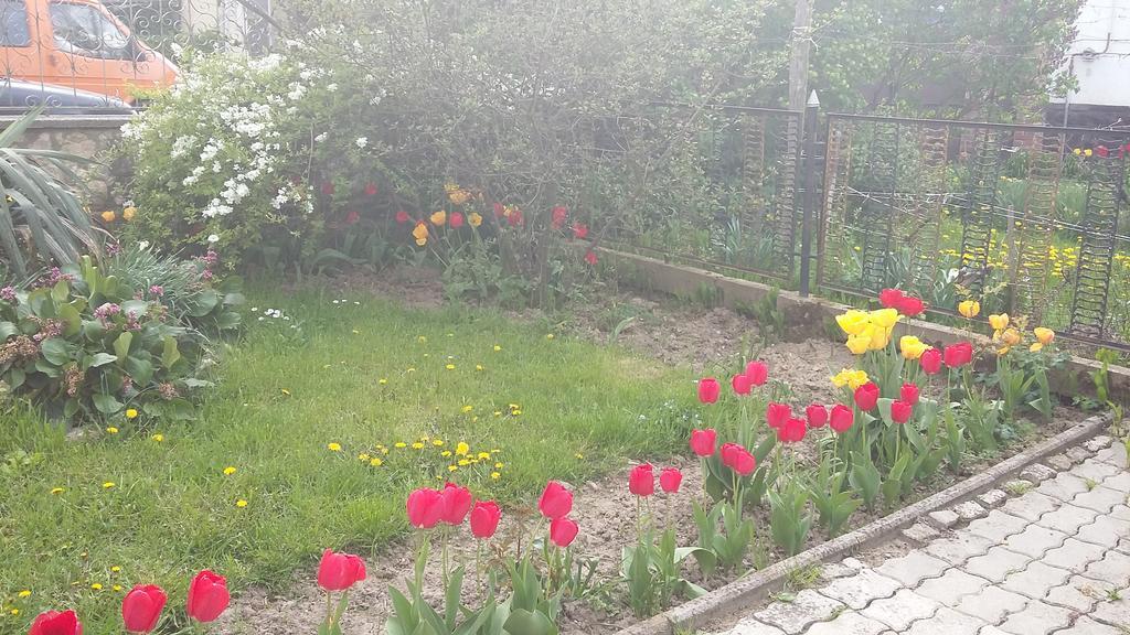 Alom Kucko Apartman Zalaegerszeg Exterior photo