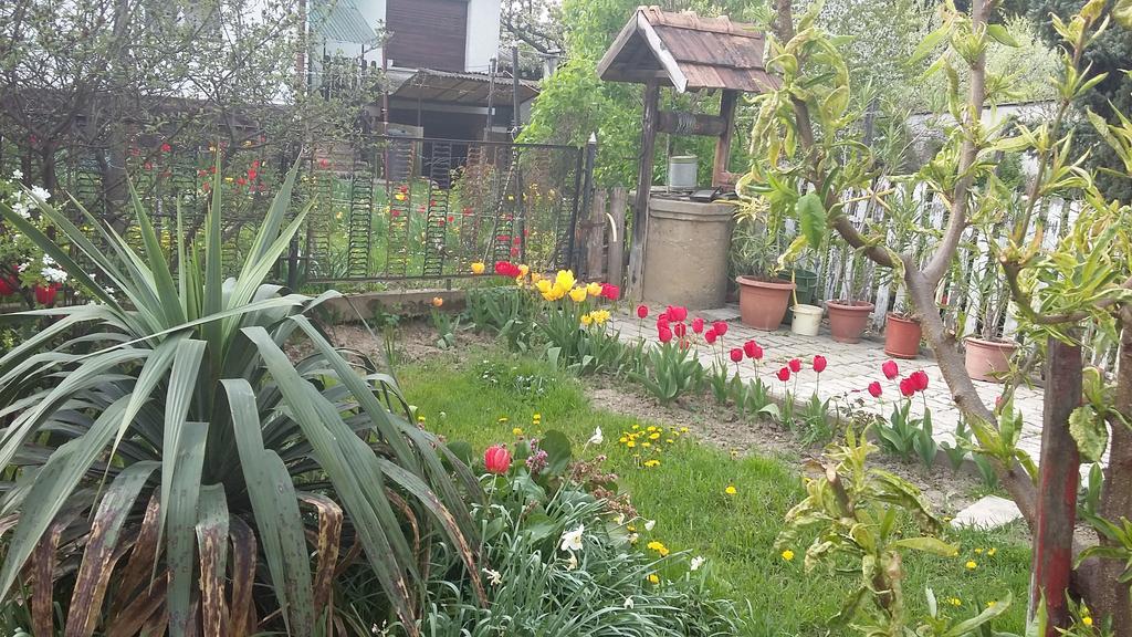 Alom Kucko Apartman Zalaegerszeg Exterior photo